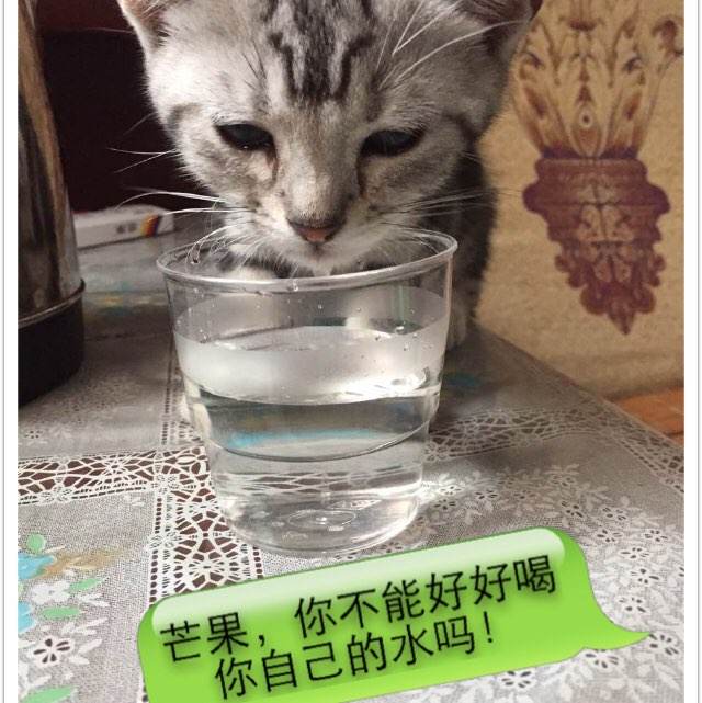 Fichta-Universit?t传媒毕业证